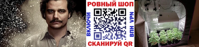 Купить закладку СОЛЬ Меф Гашиш Новосокольники