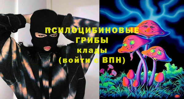 гидропоника Кодинск